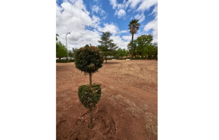 MontijoParqueJuanMendez_MOG2733