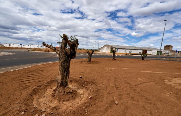 MontijoRotonda_MOG2804