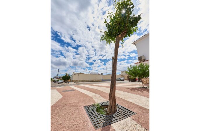 Valdelacalzada_MOG2819